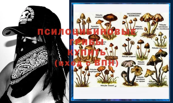 спиды Кодинск
