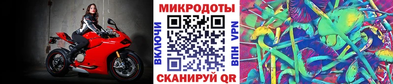 Купить закладки  Городовиковск  Галлюциногенные грибы Psilocybe 